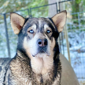 Meet your Posher, Ericka